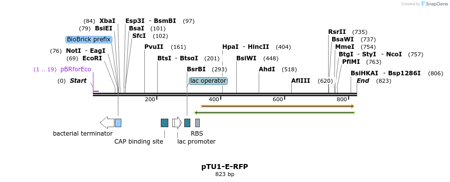 140532_map