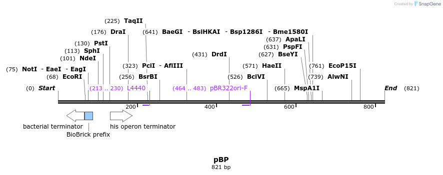 140536_map
