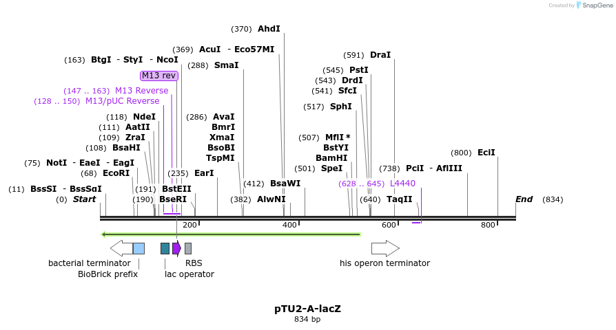 140541_map