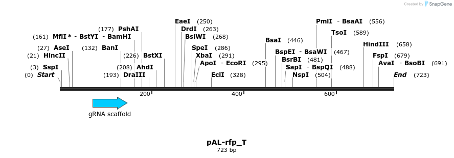 140551_map