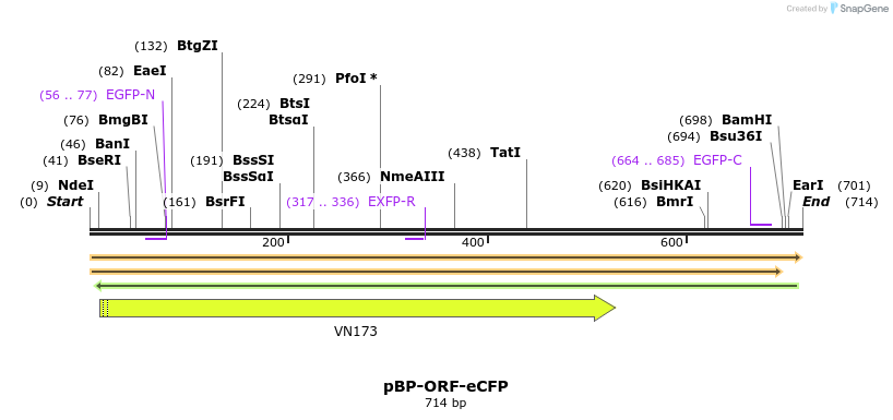 140570_map