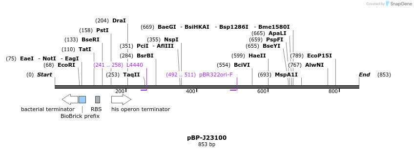 140573_map