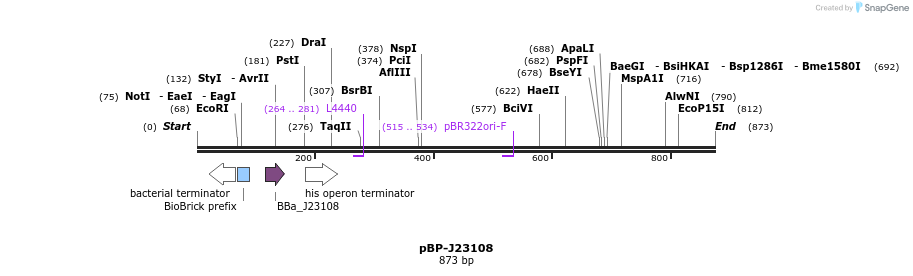 140574_map