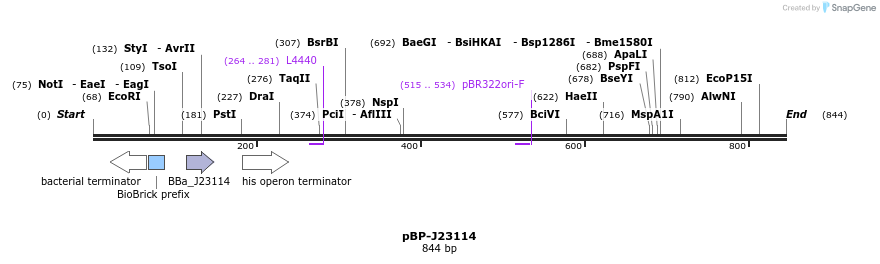 140575_map