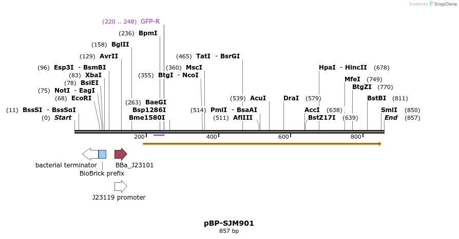 140576_map