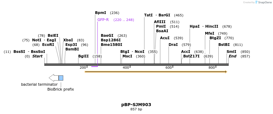 140578_map