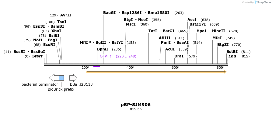 140580_map