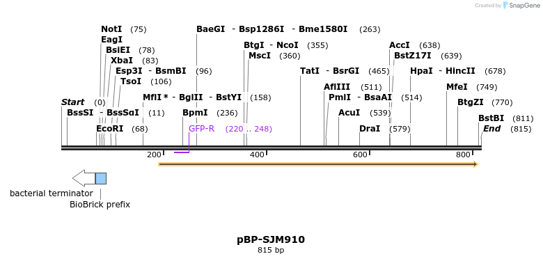 140582_map