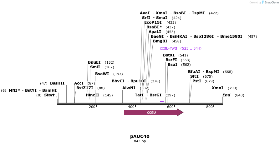 140594_map
