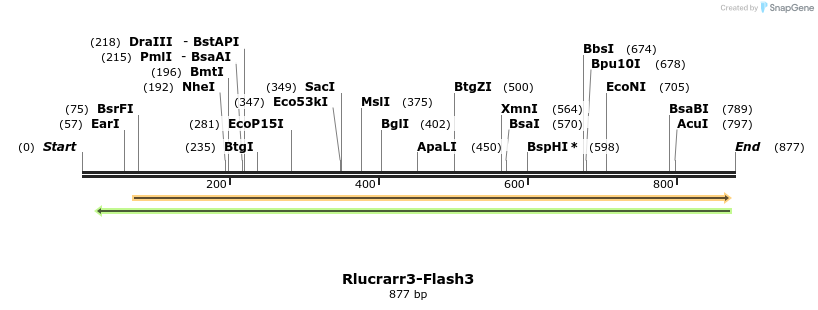 140596_map