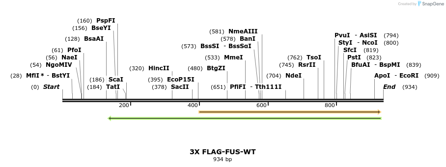 140598_map