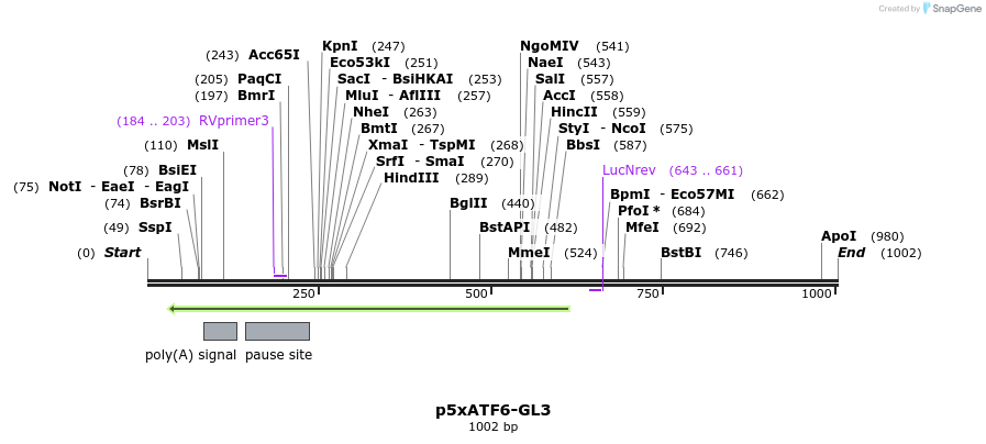 140601_map