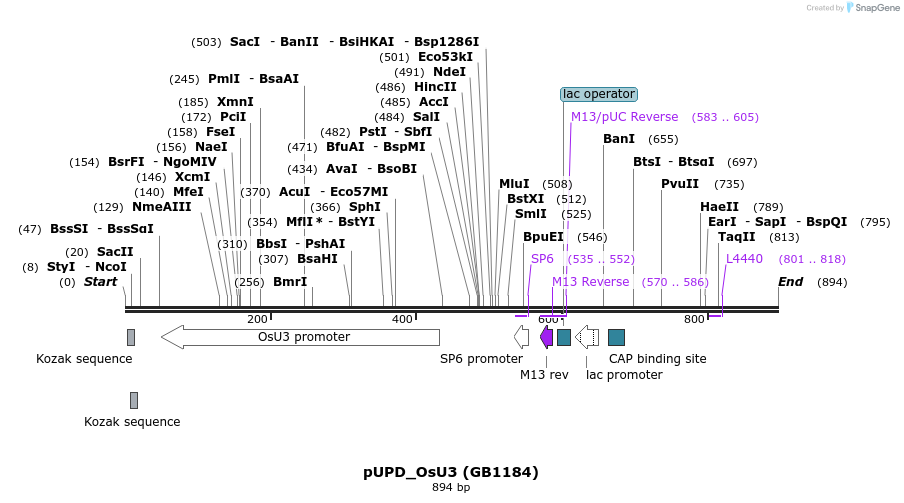 140602_map