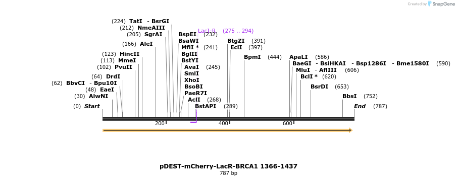 140608_map
