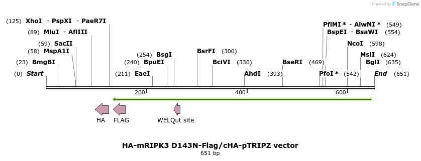 140610_map