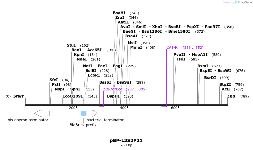 140620_map