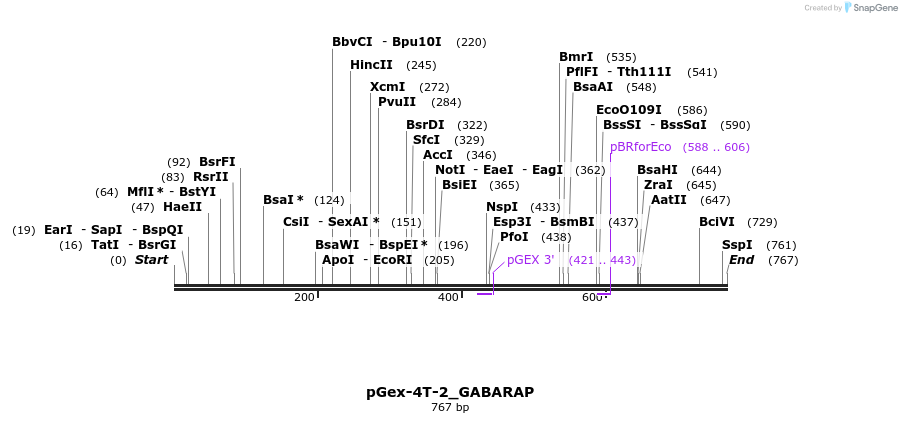 140621_map