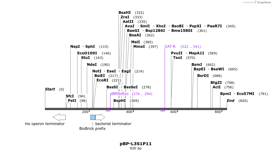 140625_map