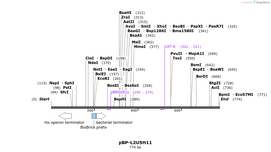 140628_map