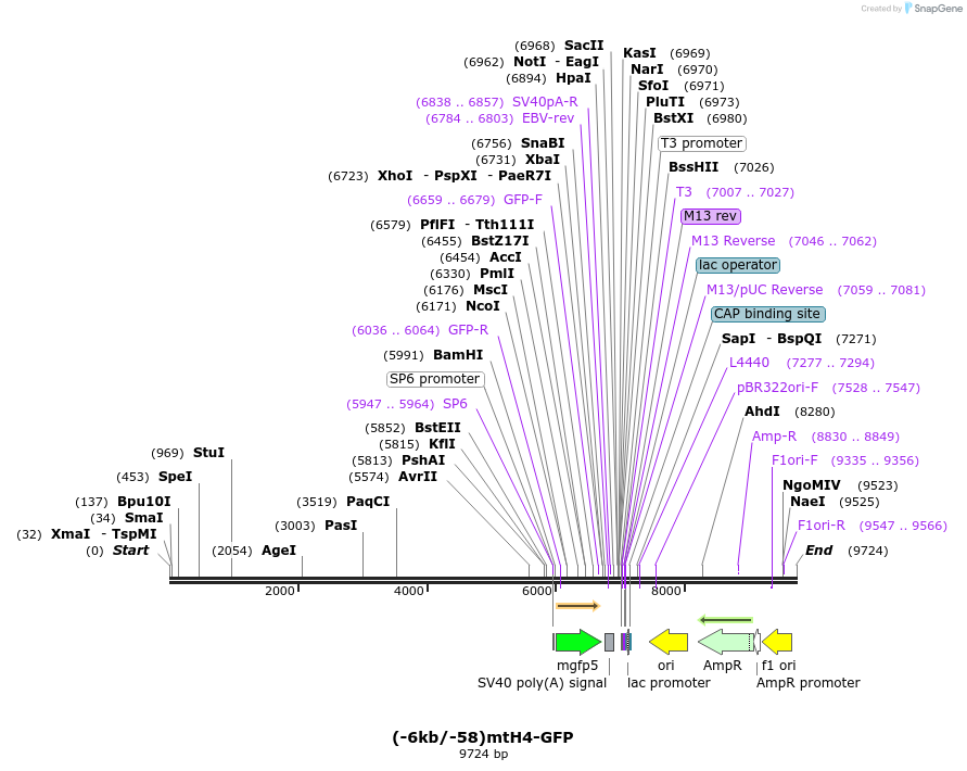 14063_map
