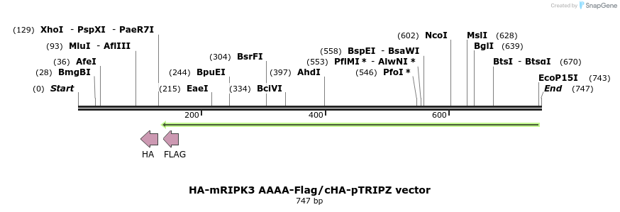 140633_map
