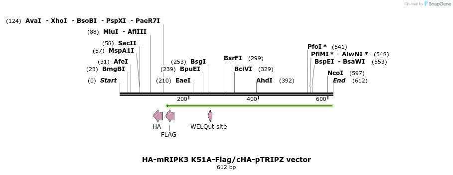 140634_map