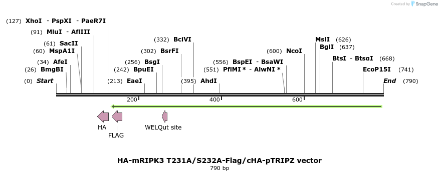 140635_map