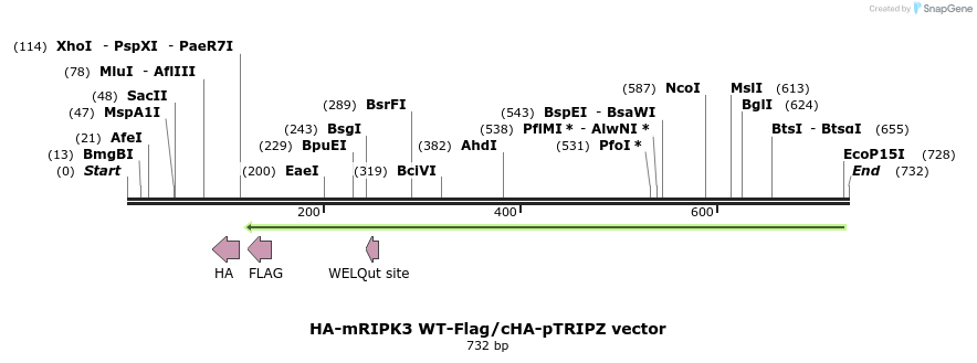 140639_map