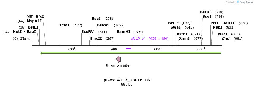 140642_map