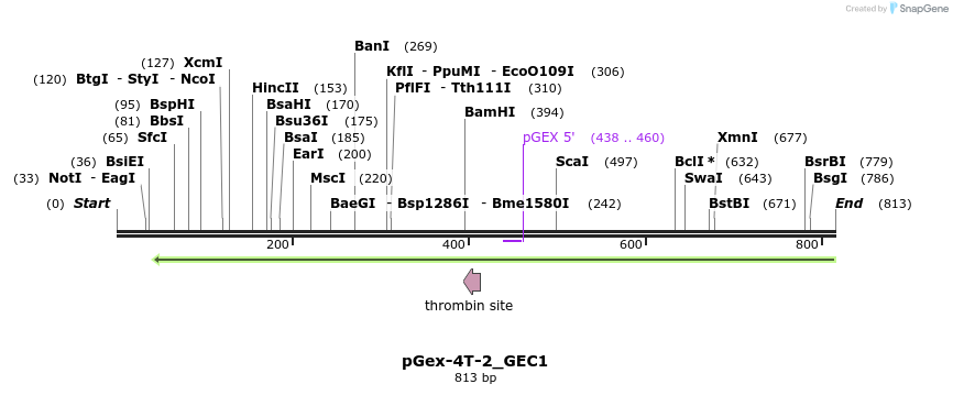 140643_map
