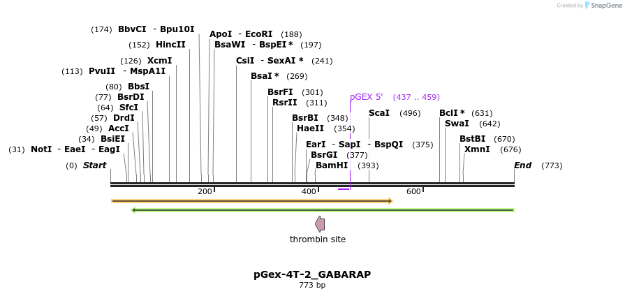 140644_map