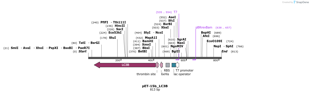 140645_map