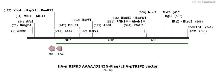 140646_map