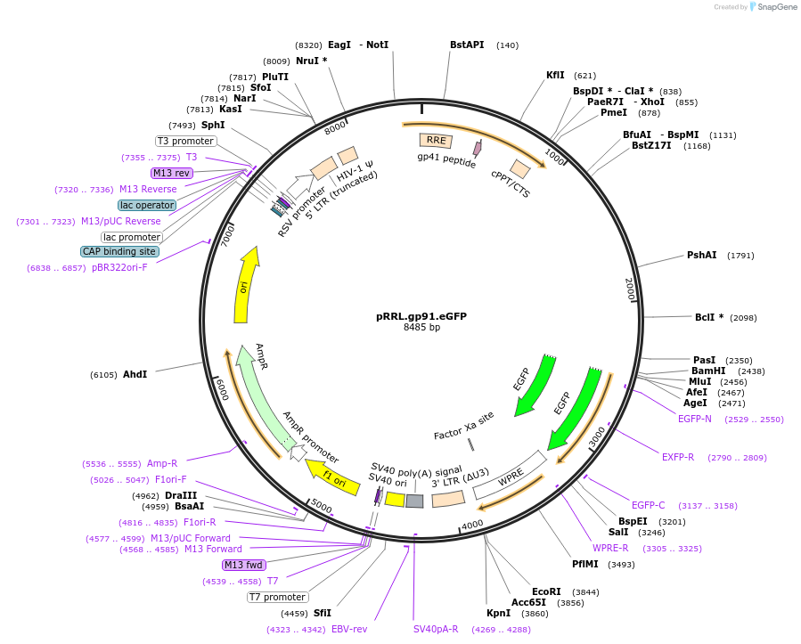 14065_map