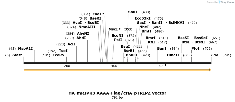140650_map