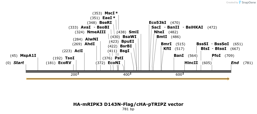140651_map