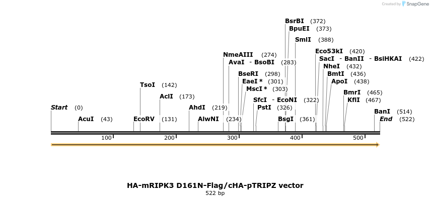 140653_map