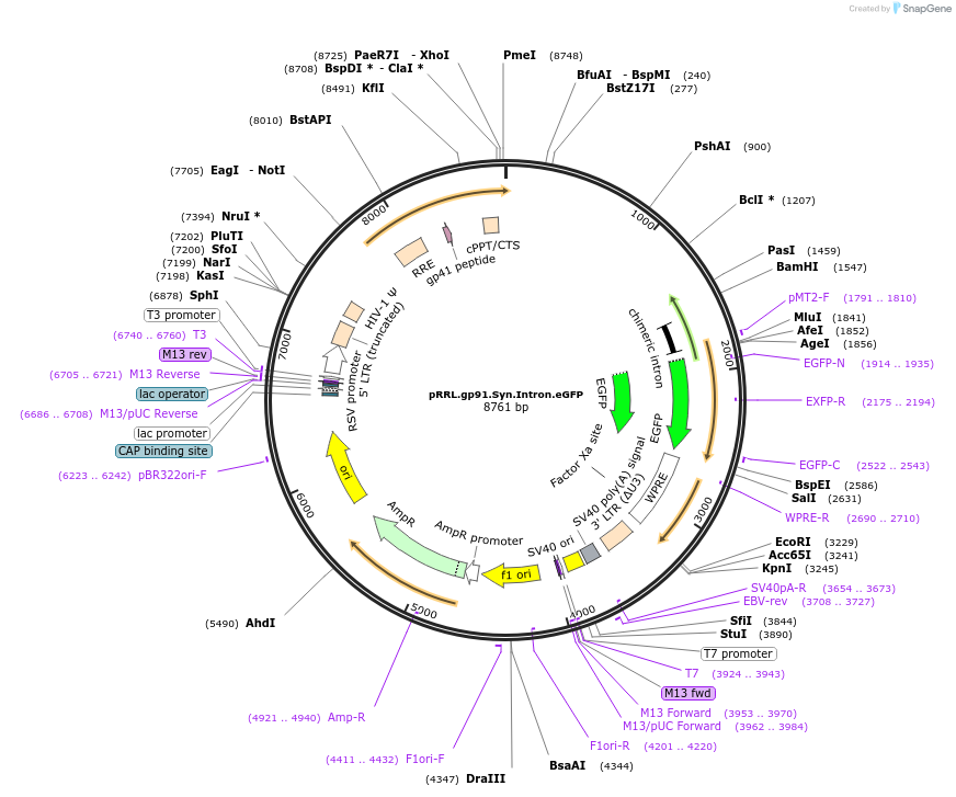 14067_map