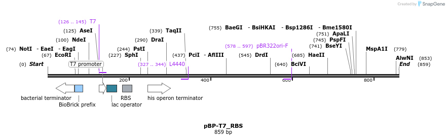 140675_map