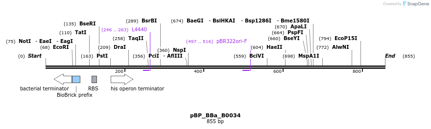 140677_map