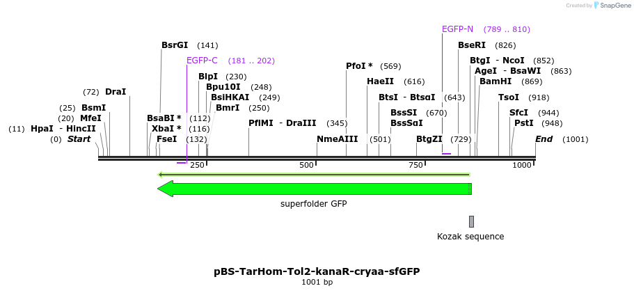 140681_map