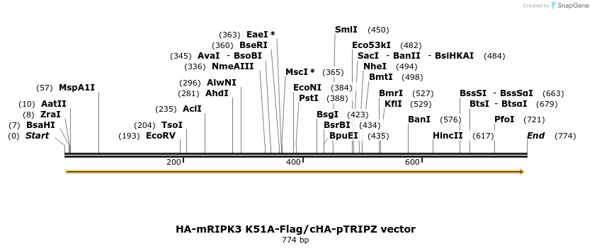 140682_map