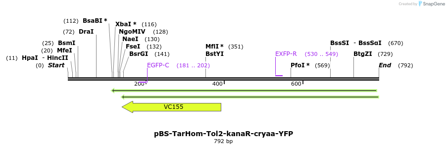 140686_map