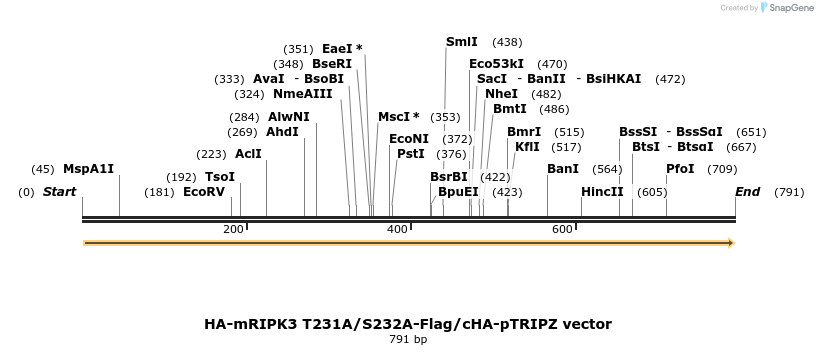 140687_map