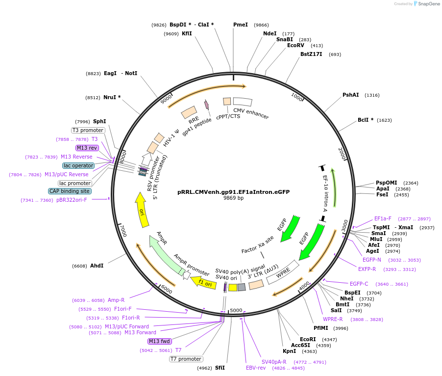 14069_map