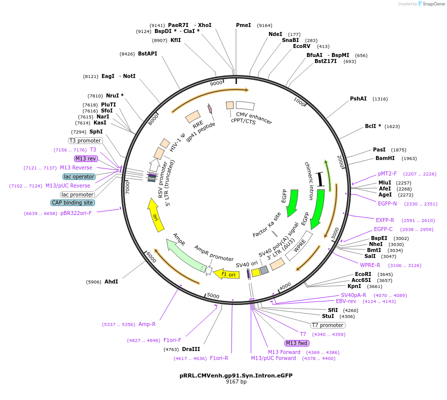14070_map