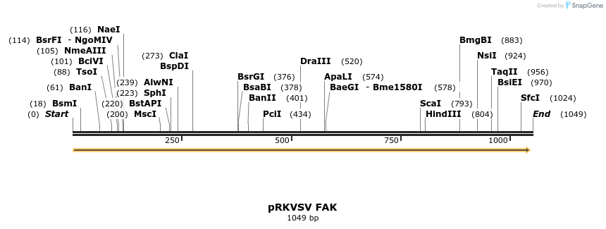 140706_map