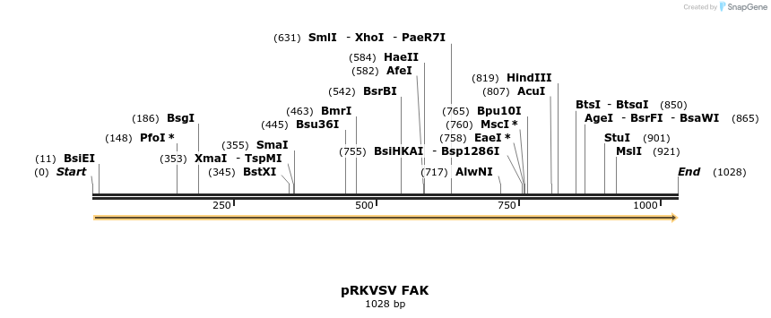 140708_map