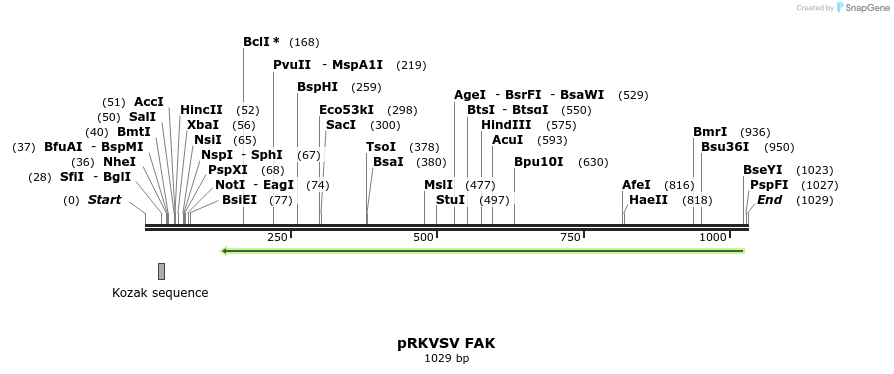 140710_map