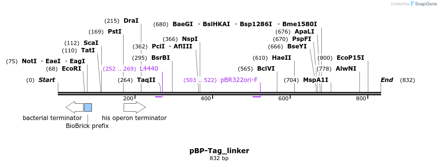 140714_map